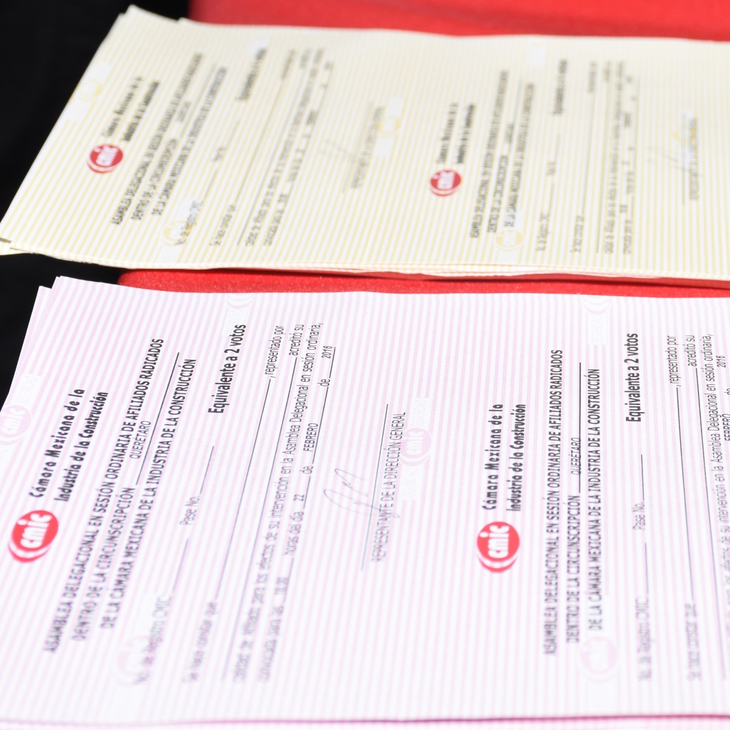 Alejandra Vega, candidata única a la presidencia de la CMIC